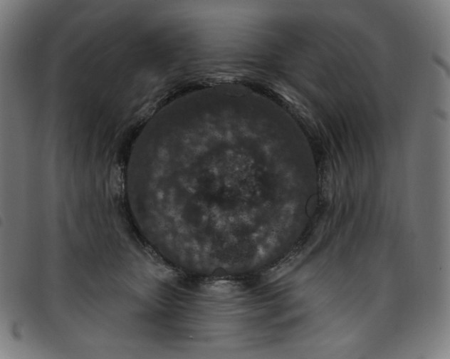 X0000098090467200804251259