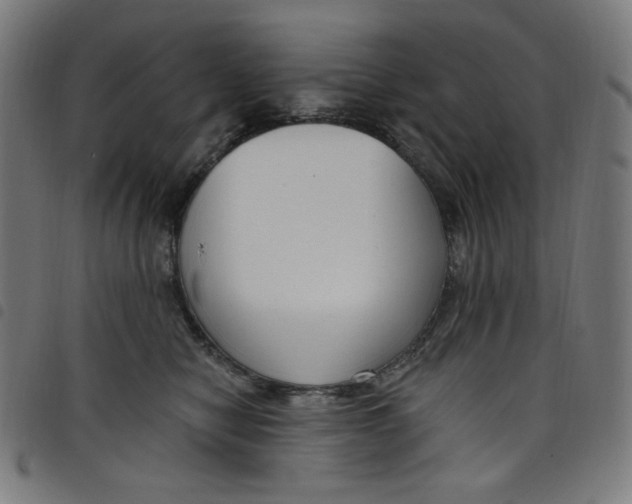 X0000098090470200804251259