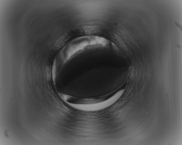 X0000098090471200804251259