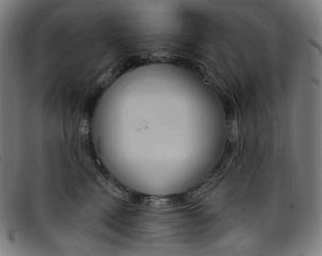 X0000098090472200804251259