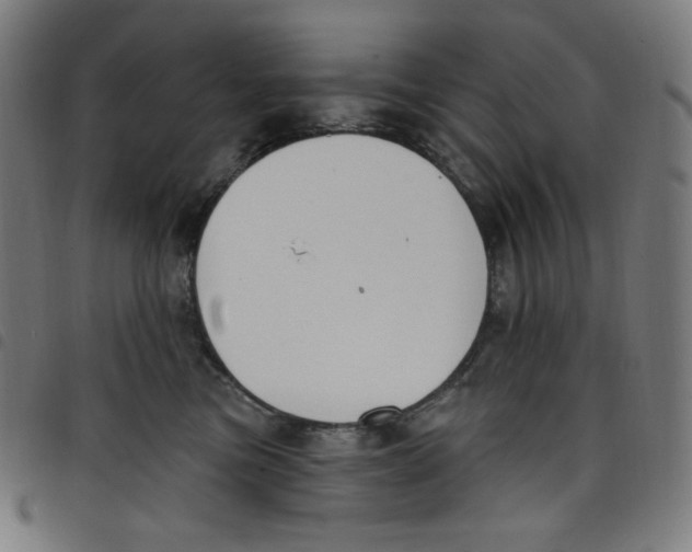 X0000098090473200804251259