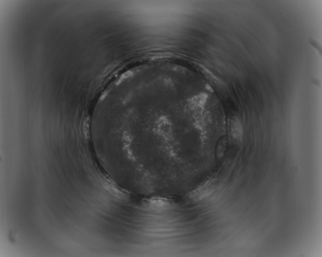 X0000098090475200804251259