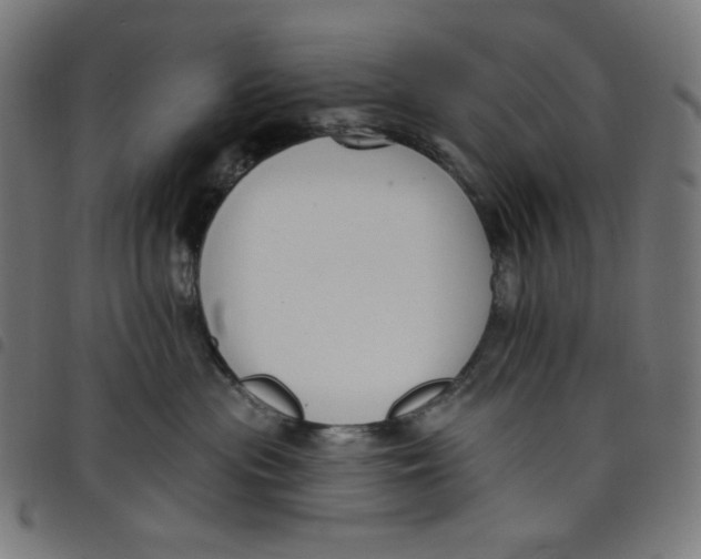 X0000098090477200804251259