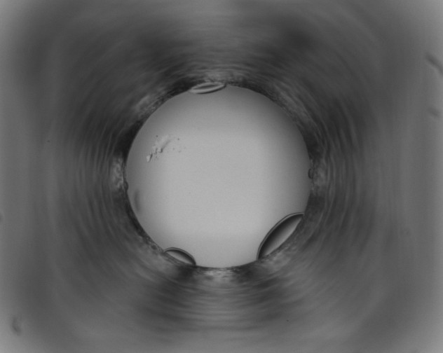 X0000098090478200804251259