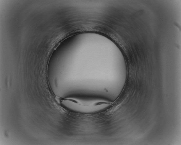 X0000098090481200804251258