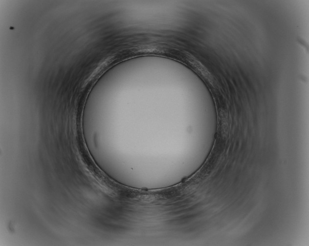 X0000098090482200804251258