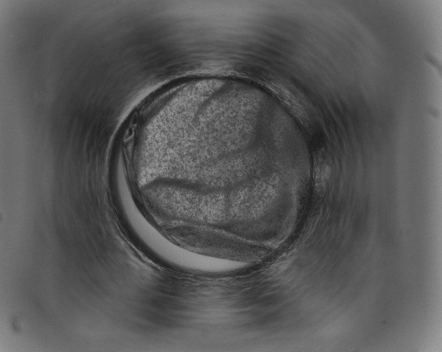 X0000098090484200804251258