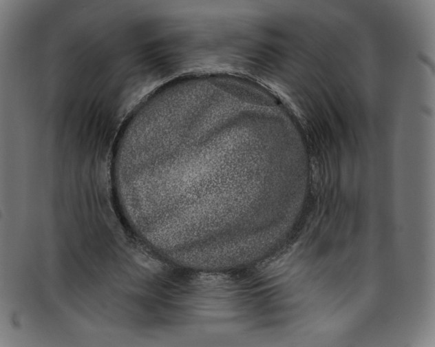 X0000098090487200804251258