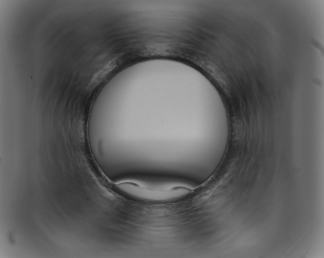 X0000098090489200804251258