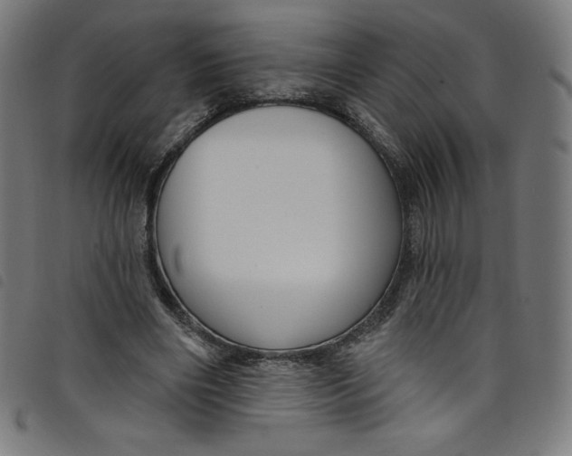 X0000098090490200804251258