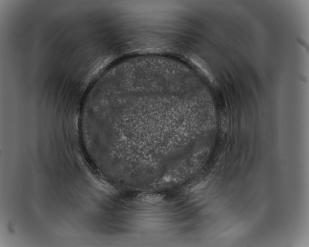 X0000098090491200804251258