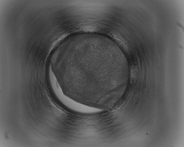 X0000098090492200804251258