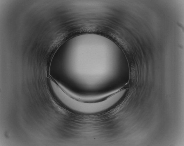 X0000098090493200804251258