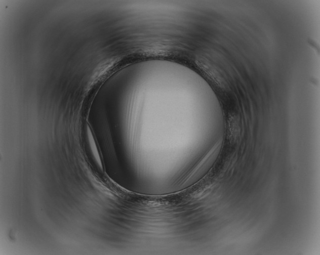 X0000098090494200804251258