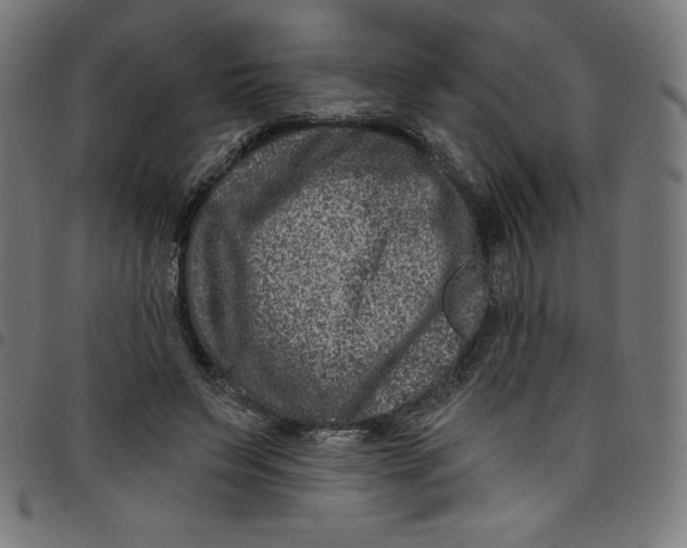 X0000098090495200804251258