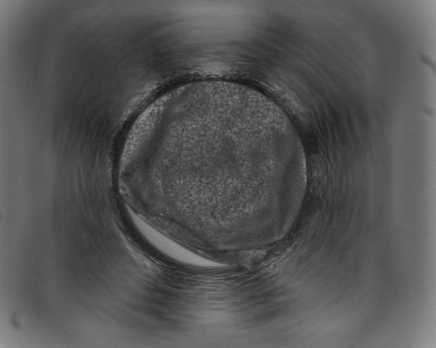 X0000098090496200804251258