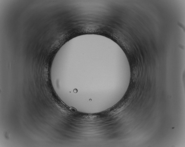 X0000098090497200804251258