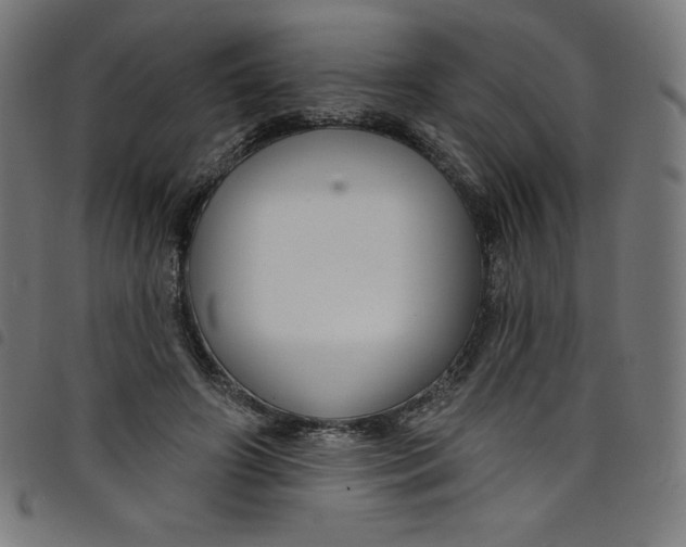 X0000098090498200804251258