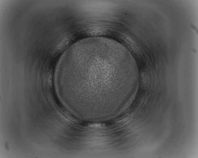 X0000098090499200804251258