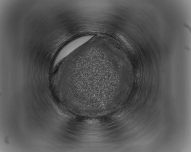 X0000098090500200804251258