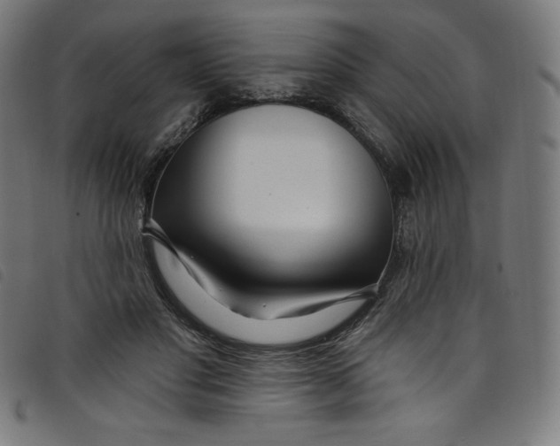 X0000098090501200804251258