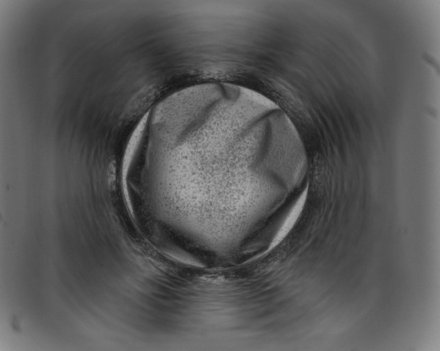 X0000098090502200804251258