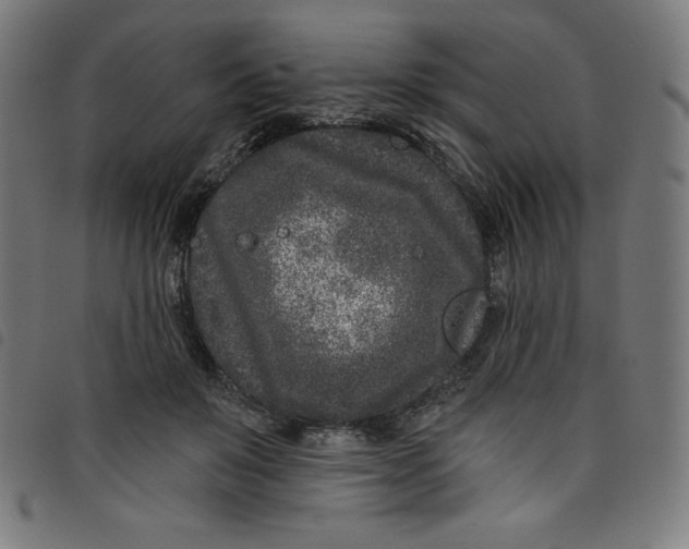 X0000098090503200804251258