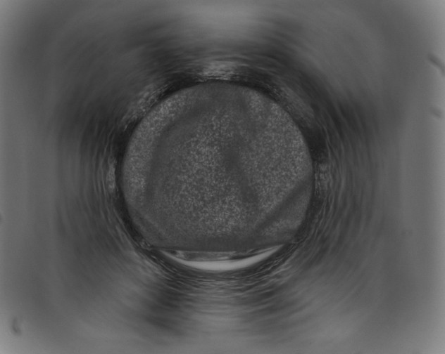 X0000098090504200804251258