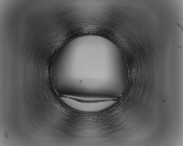 X0000098090508200804251258