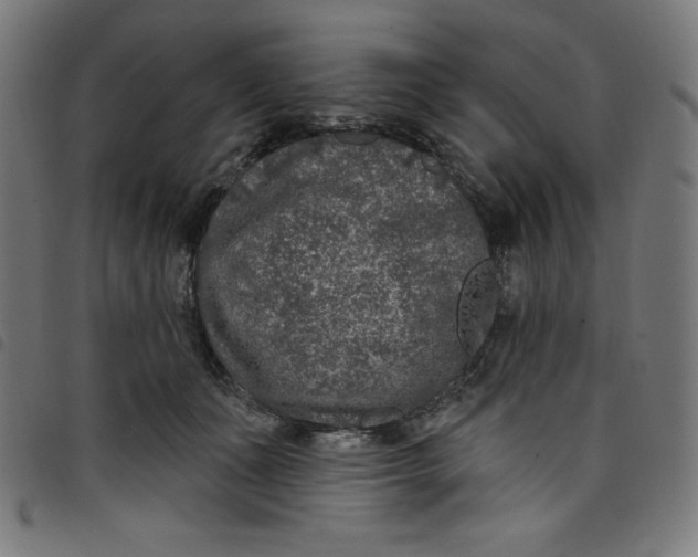 X0000098090511200804251258