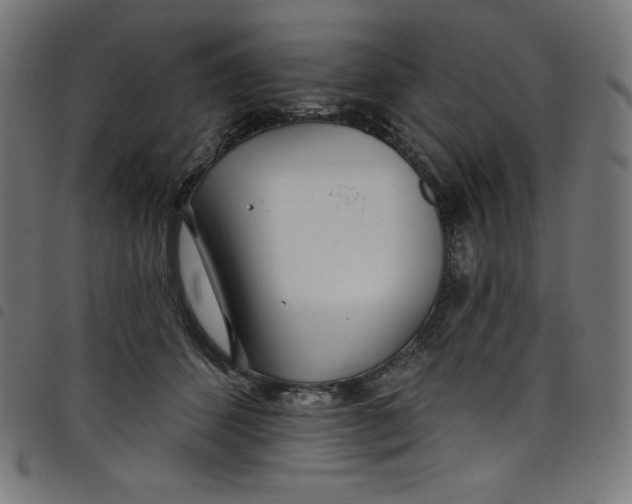 X0000098090512200804251258