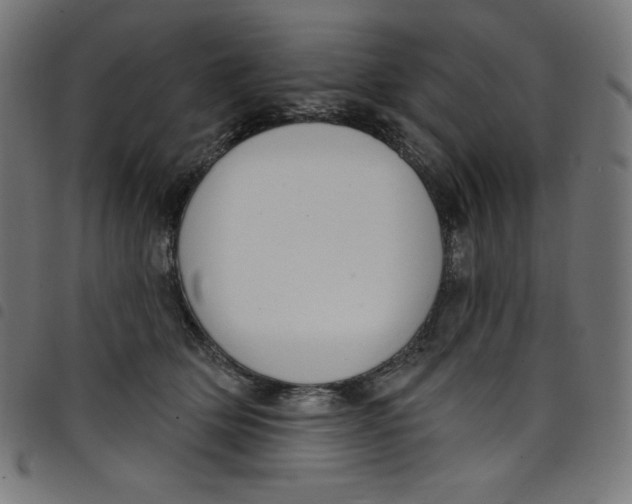 X0000098090514200804251258