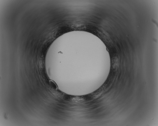 X0000098090515200804251258