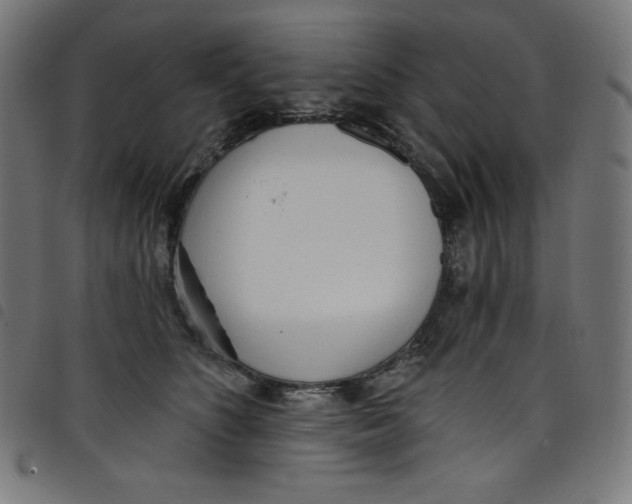 X0000098090516200804251257