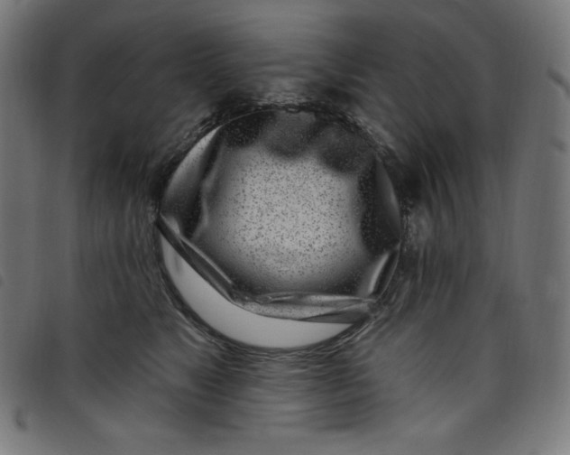 X0000098090517200804251257