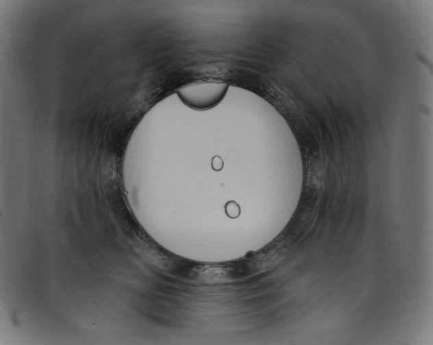 X0000098090518200804251257