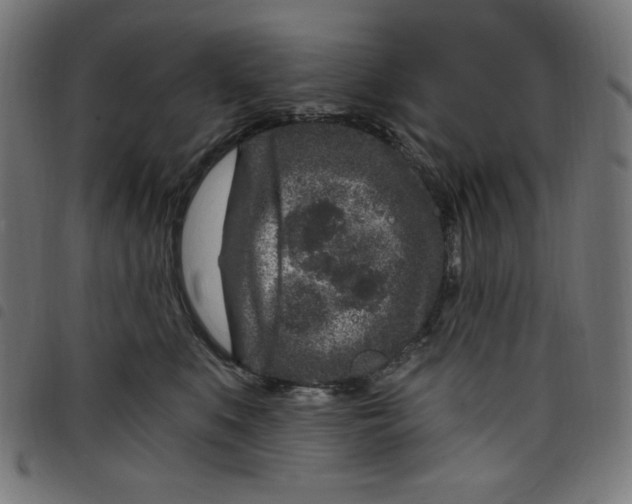 X0000098090519200804251257