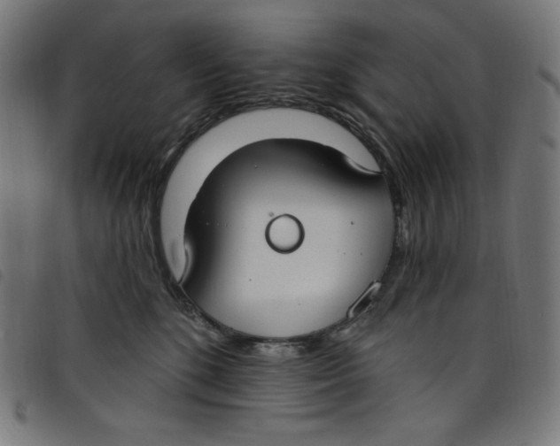 X0000098090520200804251257