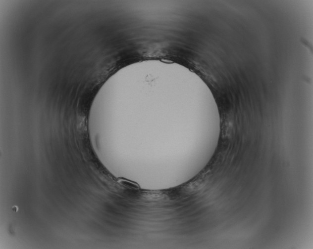 X0000098090521200804251257