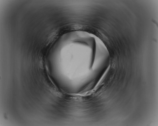 X0000098090524200804251257