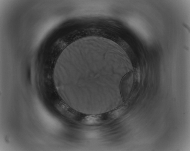 X0000098090526200804251257