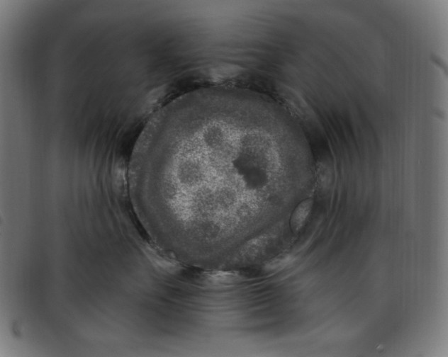 X0000098090527200804251257