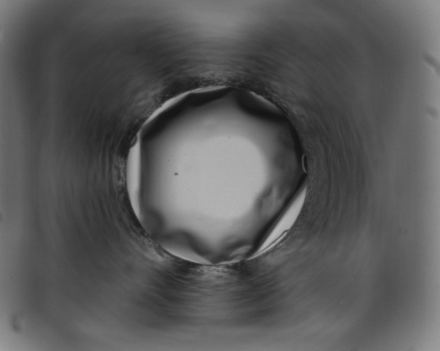 X0000098090528200804251257