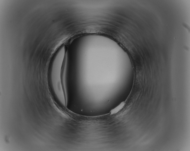 X0000098090530200804251257