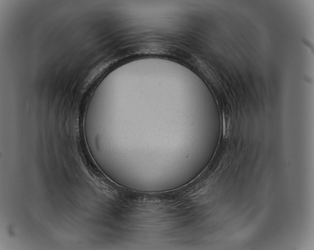 X0000098090531200804251257