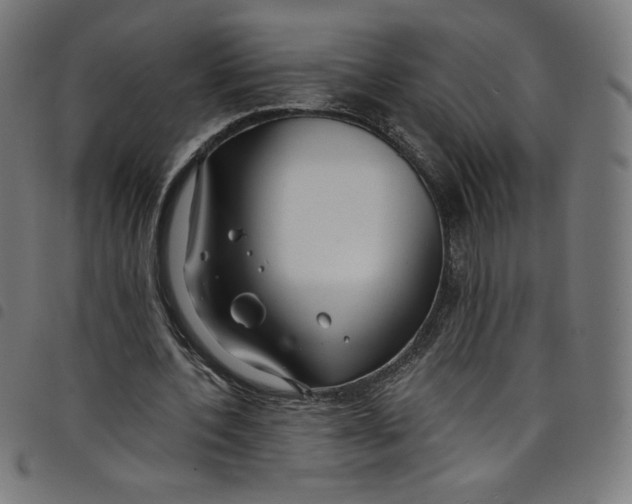 X0000098090532200804251257