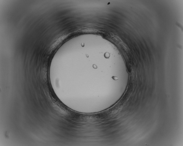 X0000098090533200804251257