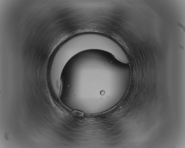 X0000098090534200804251257