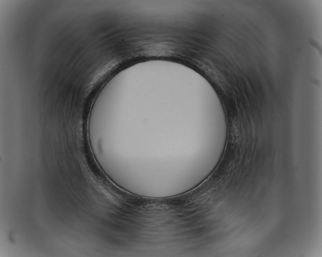 X0000098090535200804251257