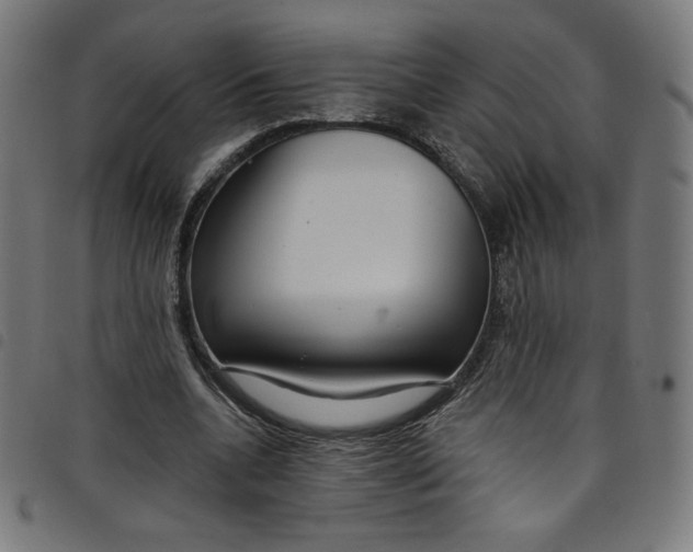 X0000098090536200804251257